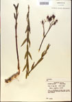 000013642-thumbnail.jpg