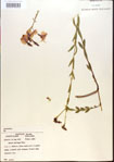 000013643-thumbnail.jpg
