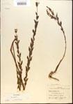 000013644-thumbnail.jpg