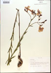 000013645-thumbnail.jpg