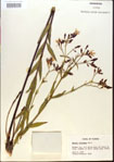 000013647-thumbnail.jpg