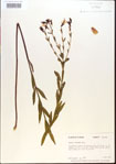 000013649-thumbnail.jpg