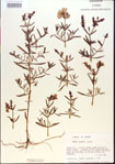 000013650-thumbnail.jpg