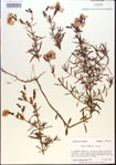 000013651-thumbnail.jpg