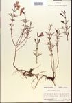 000013652-thumbnail.jpg
