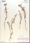 000013653-thumbnail.jpg