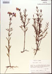 000013654-thumbnail.jpg
