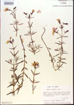 000013655-thumbnail.jpg