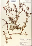 000013656-thumbnail.jpg