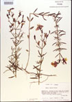 000013658-thumbnail.jpg