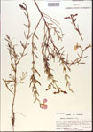 000013659-thumbnail.jpg