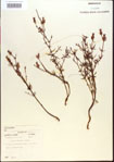 000013660-thumbnail.jpg