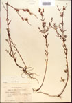 000013663-thumbnail.jpg
