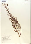 000013664-thumbnail.jpg