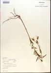 000013665-thumbnail.jpg