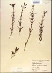 000013666-thumbnail.jpg