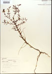 000013668-thumbnail.jpg