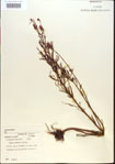 000013669-thumbnail.jpg
