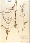 000013670-thumbnail.jpg