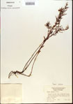 000013671-thumbnail.jpg