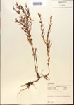 000013673-thumbnail.jpg