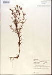 000013674-thumbnail.jpg