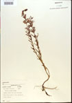 000013675-thumbnail.jpg