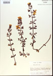 000013677-thumbnail.jpg