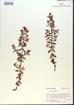 000013678-thumbnail.jpg