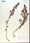 000013680-thumbnail.jpg