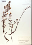000013681-thumbnail.jpg