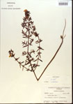 000013682-thumbnail.jpg