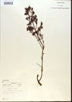 000013684-thumbnail.jpg