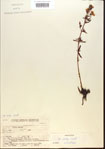 000013687-thumbnail.jpg