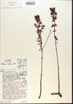 000013688-thumbnail.jpg