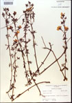 000013690-thumbnail.jpg
