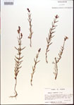 000013693-thumbnail.jpg