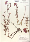 000013694-thumbnail.jpg