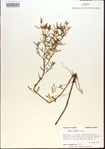 000013696-thumbnail.jpg