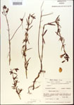000013697-thumbnail.jpg