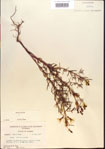 000013699-thumbnail.jpg