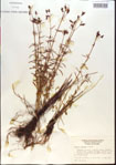 000013700-thumbnail.jpg