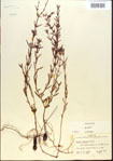 000013701-thumbnail.jpg