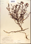 000013702-thumbnail.jpg
