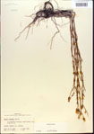 000013703-thumbnail.jpg