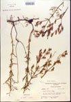 000013706-thumbnail.jpg