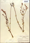 000013707-thumbnail.jpg