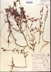 000013708-thumbnail.jpg