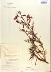 000013709-thumbnail.jpg
