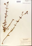 000013710-thumbnail.jpg